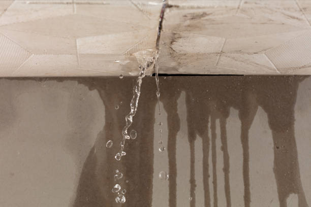 Professional Burst Pipe Cleanup technician working in Vienna, OH